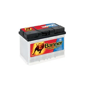 Trakční baterie Banner Energy Bull 955 01 60Ah 12V