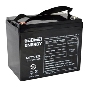 Trakční (GEL) baterie GOOWEI ENERGY OTL75-12 75 Ah 12V