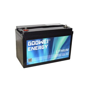 GOOWEI ENERGY LITHIUM LTX110-12 110Ah 12V
