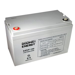 GOOWEI ENERGY 12V 100Ah 6-EVF-100
